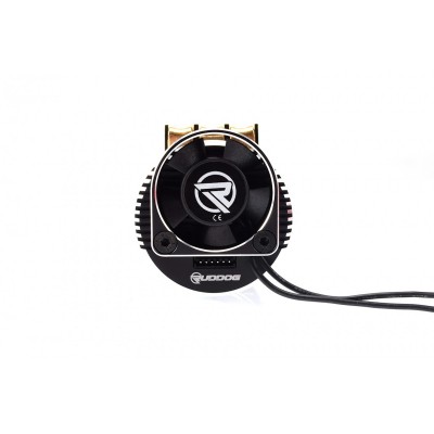 RUDDOG RP691 2000KV 1/8 Sensored Competition Brushless Motor