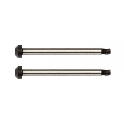 Team Associated RC10B62 Rear Hub Hinge Pins