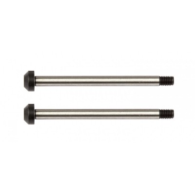 Team Associated RC10B62 Rear Hub Hinge Pins