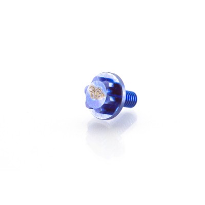 RC-Project Clutch Retainer Allen Screw in Titanium Grade 5 6Al4V 2 Pieces