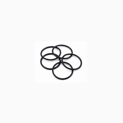 Backplate Cover 21 O-Ring (5pc)
